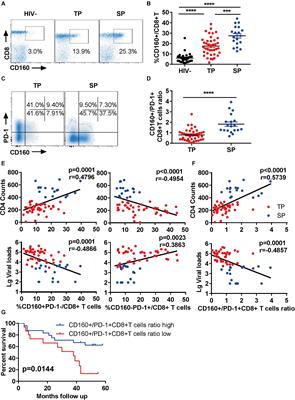 CD160 Plays a Protective Role During Chronic Infection by Enhancing Both Functionalities and Proliferative Capacity of CD8+ T Cells